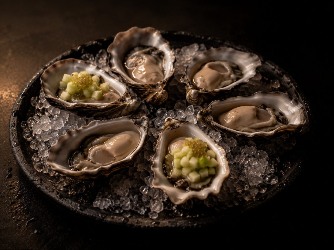 Tweed River oysters